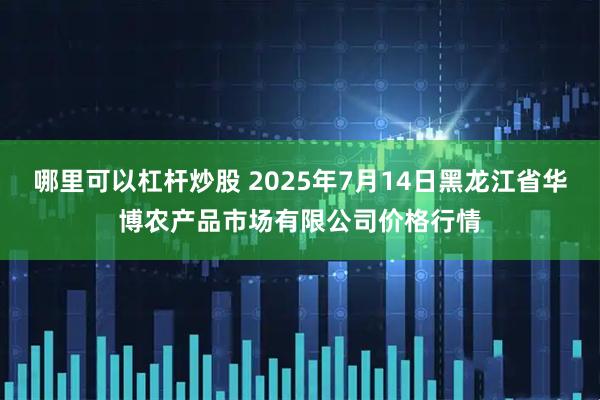 哪里可以杠杆炒股 2025年7月14日黑龙江省华博农产品市场有限公司价格行情