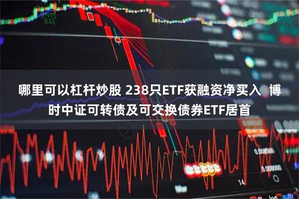 哪里可以杠杆炒股 238只ETF获融资净买入  博时中证可转债及可交换债券ETF居首